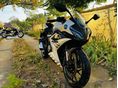 CFMOTO 300 SR 2026/5 - 3