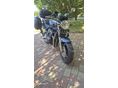 SUZUKI GSF 1200 (BANDIT) 2003/4 - 1
