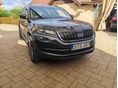 SKODA KODIAQ 2021/6 - 1