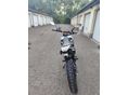 GENERIC TRIGGER SM 50 2013/3 - 8