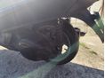 APRILIA ATLANTIC 500 2003/6 - 6