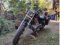 SUZUKI LS 650 SAVAGE 2000/6 - 1
