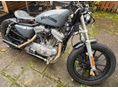 HARLEY-DAVIDSON SPORTSTER 2000/5 - 2