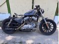 HARLEY-DAVIDSON SPORTSTER 2000/5 - 3