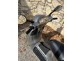 VESPA ET4 2002 - 8