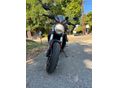 DUCATI MONSTER 821 2020/4 - 5
