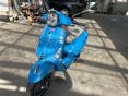 PIAGGIO PRIMAVERA 2018/9 - 2