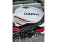 TRIUMPH STREET TRIPLE 675 2014/2 - 9