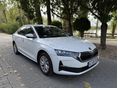 SKODA OCTAVIA 2024/10 - 3