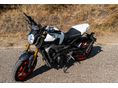 YAMAHA MT-09 2014/3 - 2
