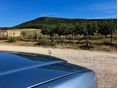MERCEDES-BENZ W 124 1988/4 - 5