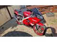 KAWASAKI ZX-9R (NINJA) 2000/3 - 2