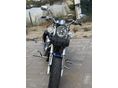 SUZUKI VZ 800 (MARAUDER) 1997/6 - 8
