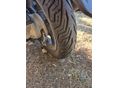 HONDA PCX 125 2013/10 - 6