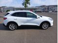 FORD KUGA 2020/7 - 4