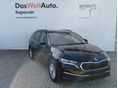 SKODA OCTAVIA 2026/10 - 5