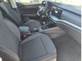 SKODA OCTAVIA 2021/2 - 8