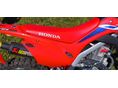 HONDA CRF 125 F 2024/2 - 2