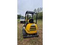 JCB 2010/5 - 4