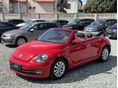 VOLKSWAGEN BEETLE 2013/5 - 5