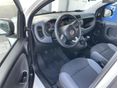 FIAT PANDA 2017/4 - 4