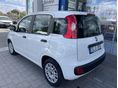 FIAT PANDA 2017/4 - 2