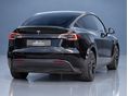 TESLA MODEL Y 2021/9 - 6