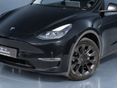 TESLA MODEL Y 2021/9 - 11