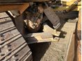 CATERPILLAR 1999 - 6