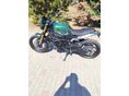 BENELLI LEONCINO 800 