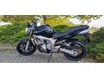 YAMAHA FZ6-N 2005/3 - 2
