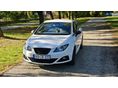 SEAT IBIZA 2011/4 - 1