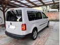 VOLKSWAGEN CADDY MAXI 2019/12 - 3