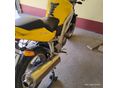 SUZUKI SV 650 N 2004 - 3