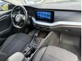 SKODA OCTAVIA 2021/6 - 8