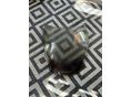 HONDA CBR 1100 XX 2000/4 - 6