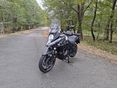 SUZUKI DL 650 2019 - 4