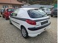 PEUGEOT 206 2004/6 - 5