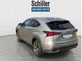 LEXUS NX 2018/8 - 4