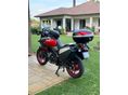 SUZUKI DL 1000 2015/5 - 3