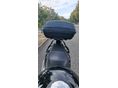HONDA CBF 250 2006/11 - 8