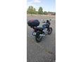 HONDA CBF 250 2006/11 - 11