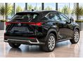 LEXUS NX 2020/9 - 4