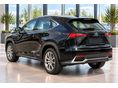 LEXUS NX 2020/9 - 3