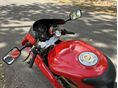 DUCATI 750 SS 2001/6 - 9