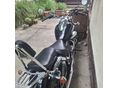 SUZUKI VL 250 (INTRUDER) 2002/7 - 2