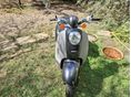 HONDA SCOOPY 2010 - 5