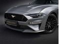 FORD MUSTANG 2022/10 - 7