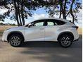 LEXUS NX 2016/9 - 3