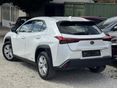 LEXUS UX 2022/2 - 2